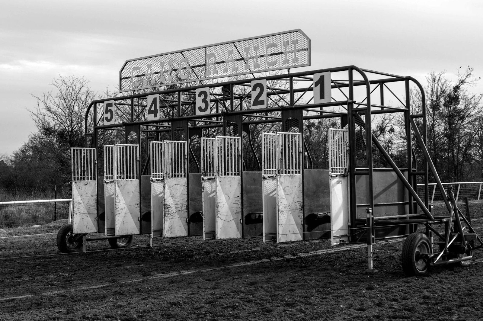 Monochrome image of horse race starting gates at a ranch in San Antonio, TX.