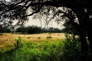 Fracking en Texas: $100 mil millones impulsan inversiones 2026