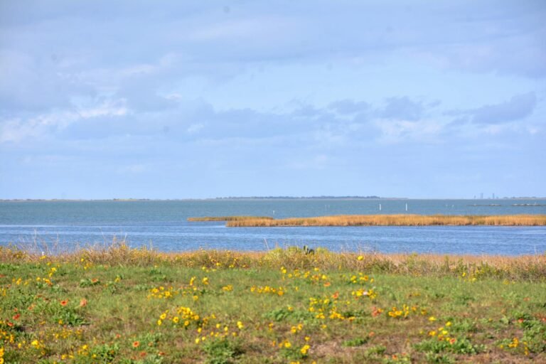 Refinería Deer Park: Impacto en inversiones energéticas tras derrame