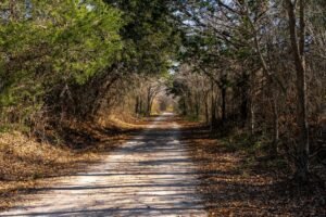 Boom inmobiliario Texas: oportunidades inversión mayo 2026