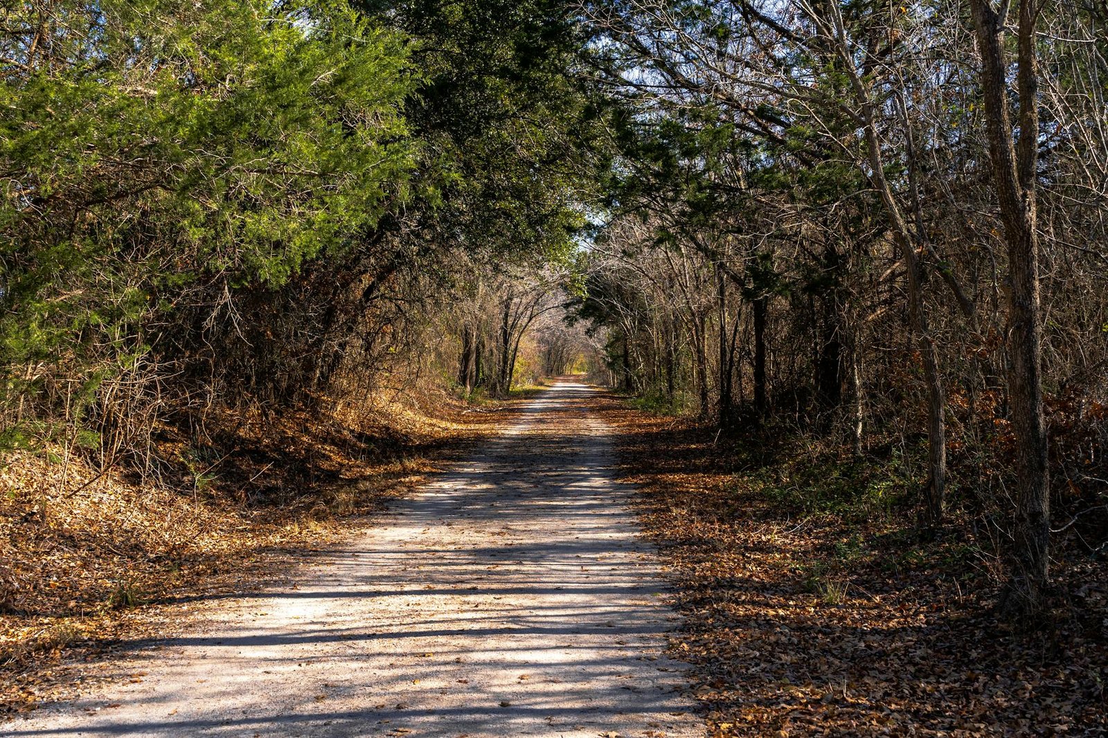 A tranquil forest trail in Weatherford, Texas, showcasing vibrant autumn foliage and a peaceful path.