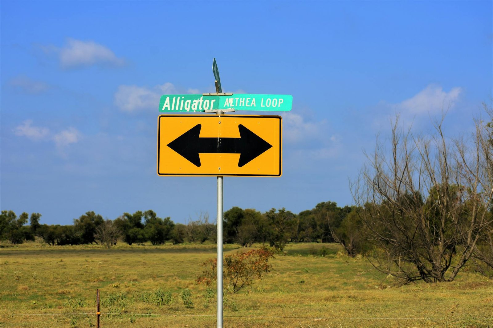 A rural Texas landscape featuring a directional road sign with clear blue skies.