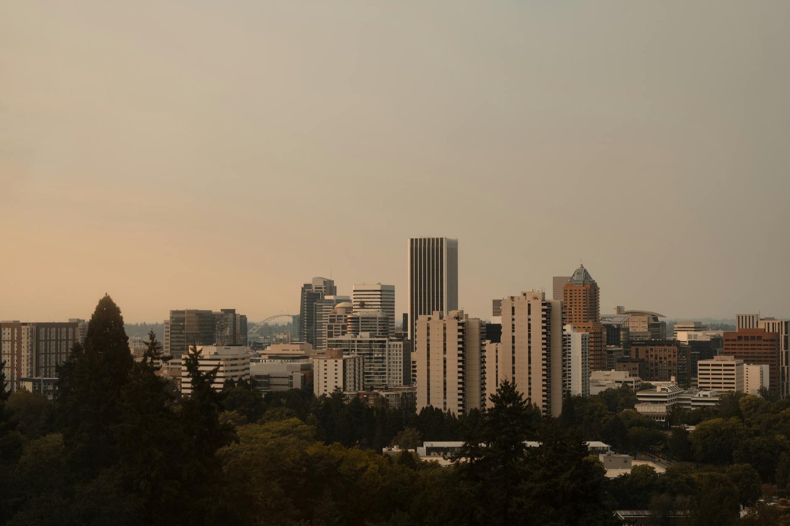 Captivating Portland skyline framed by trees at sunset, highlighting urban architecture.