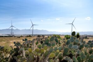 Crisis Energética Texas: Oportunidades de Inversión Renovables 2026